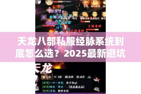 天龙八部私服经脉系统到底怎么选？2025最新避坑手册