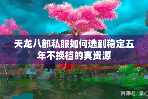 天龙八部私服如何选到稳定五年不换档的真资源
