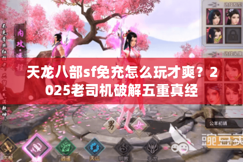 天龙八部sf免充怎么玩才爽？2025老司机破解五重真经