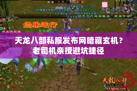 天龙八部私服发布网暗藏玄机?老司机亲授避坑捷径 天龙八部私服发布网暗藏玄机?老司机亲授避坑捷径