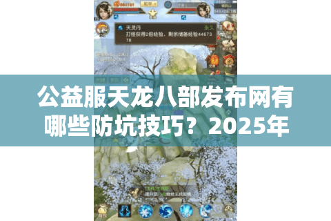 公益服天龙八部发布网有哪些防坑技巧？2025年避雷指南来了