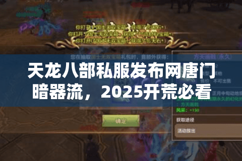 天龙八部私服发布网唐门暗器流,2025开荒必看防坑手册 天龙八部私服发布网唐门暗器流,2025开荒必看防坑手册