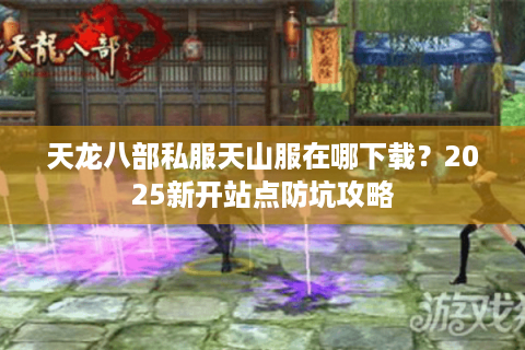 天龙八部私服天山服在哪下载？2025新开站点防坑攻略