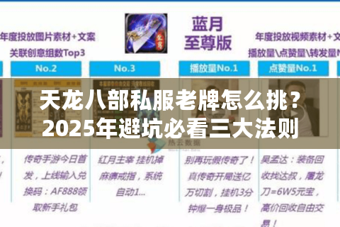 天龙八部私服老牌怎么挑？2025年避坑必看三大法则