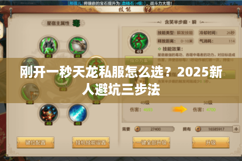 刚开一秒天龙私服怎么选？2025新人避坑三步法