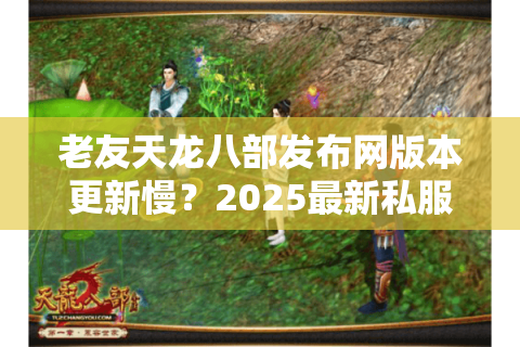 老友天龙八部发布网版本更新慢？2025最新私服安全指南来了