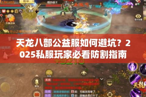 天龙八部公益服如何避坑？2025私服玩家必看防割指南