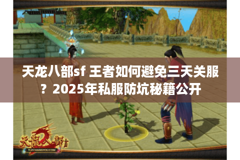 天龙八部sf 王者如何避免三天关服？2025年私服防坑秘籍公开