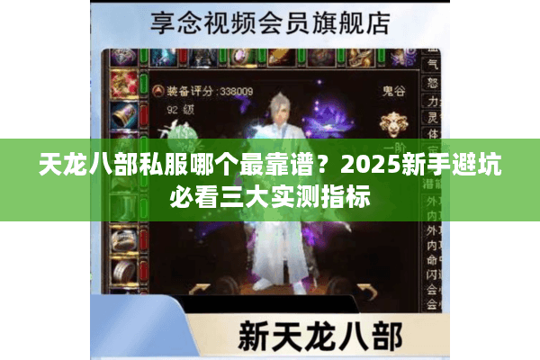 天龙八部私服哪个最靠谱？2025新手避坑必看三大实测指标