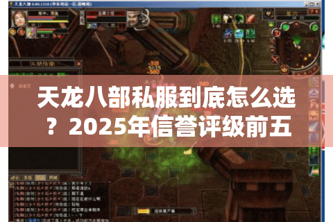天龙八部私服到底怎么选？2025年信誉评级前五的服主亲测避坑