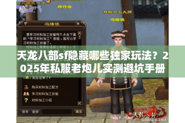天龙八部sf隐藏哪些独家玩法?2025年私服老炮儿实测避坑手册 天龙八部sf隐藏哪些独家玩法?2025年私服老炮儿实测避坑手册