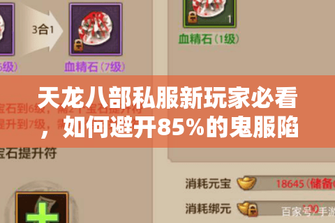 天龙八部私服新玩家必看，如何避开85%的鬼服陷阱？
