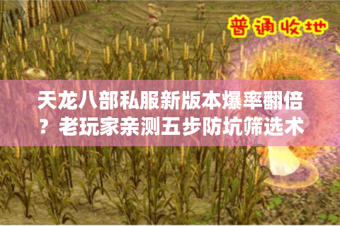 天龙八部私服新版本爆率翻倍?老玩家亲测五步防坑筛选术 天龙八部私服新版本爆率翻倍?老玩家亲测五步防坑筛选术