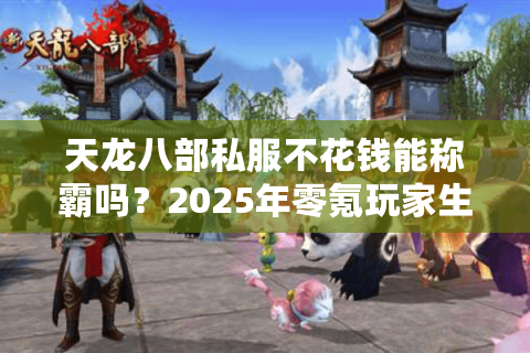 天龙八部私服不花钱能称霸吗？2025年零氪玩家生存法则