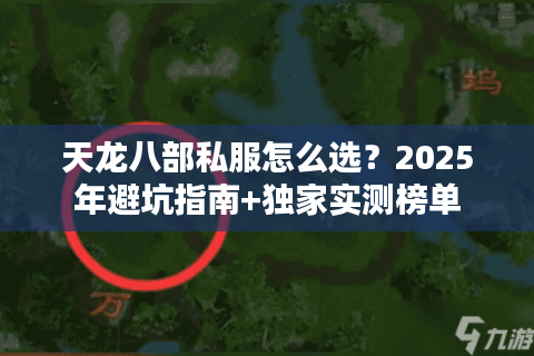 天龙八部私服怎么选？2025年避坑指南+独家实测榜单