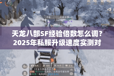 天龙八部SF经验倍数怎么调？2025年私服升级速度实测对比