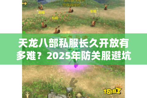 天龙八部私服长久开放有多难？2025年防关服避坑指南