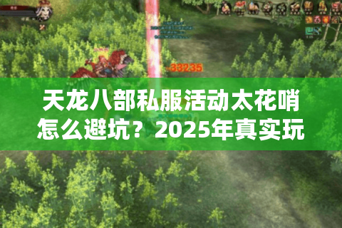 天龙八部私服活动太花哨怎么避坑？2025年真实玩家筛选方法论