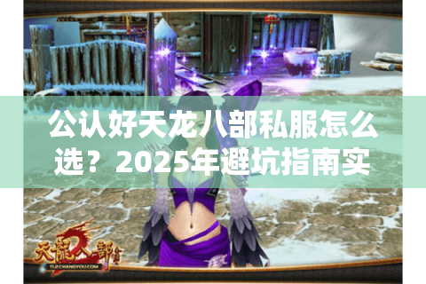 公认好天龙八部私服怎么选？2025年避坑指南实测这五招
