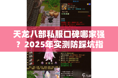 天龙八部私服口碑哪家强？2025年实测防踩坑指南