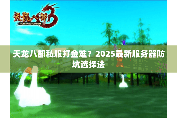 天龙八部私服打金难？2025最新服务器防坑选择法