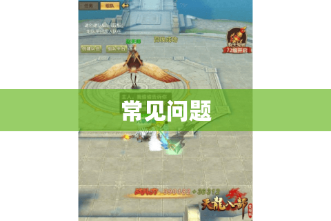 常见问题