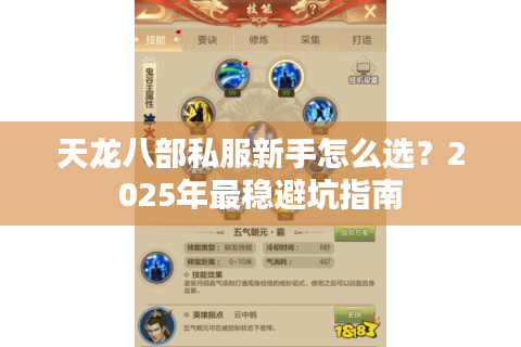 天龙八部私服新手怎么选？2025年最稳避坑指南