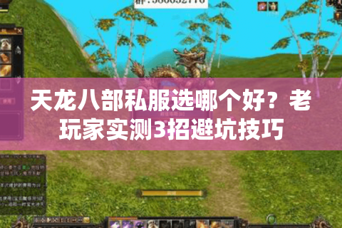 天龙八部私服选哪个好？老玩家实测3招避坑技巧