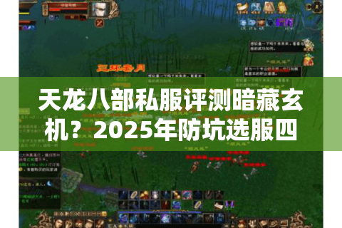 天龙八部私服评测暗藏玄机?2025年防坑选服四步法则 天龙八部私服评测暗藏玄机?2025年防坑选服四步法则