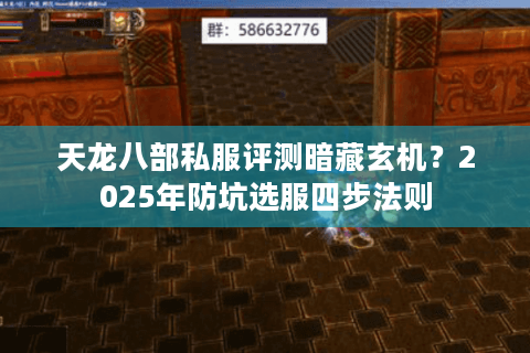 天龙八部私服评测暗藏玄机？2025年防坑选服四步法则