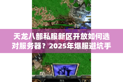 天龙八部私服新区开放如何选对服务器？2025年爆服避坑手册