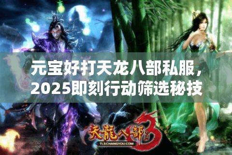 元宝好打天龙八部私服，2025即刻行动筛选秘技