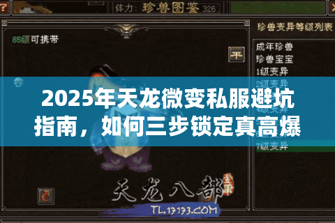 2025年天龙微变私服避坑指南,如何三步锁定真高爆率版本? 2025年天龙微变私服避坑指南,如何三步锁定真高爆率版本?