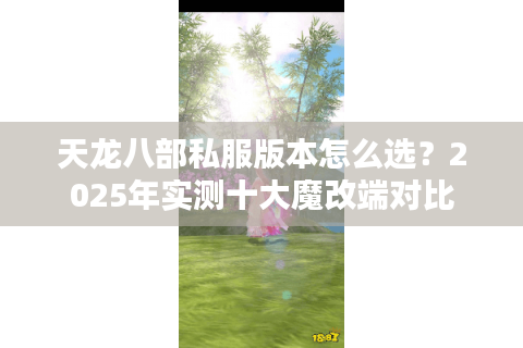 天龙八部私服版本怎么选？2025年实测十大魔改端对比