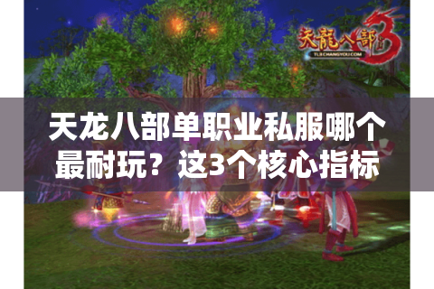 天龙八部单职业私服哪个最耐玩？这3个核心指标帮你避开坑服