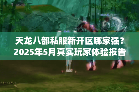 天龙八部私服新开区哪家强？2025年5月真实玩家体验报告