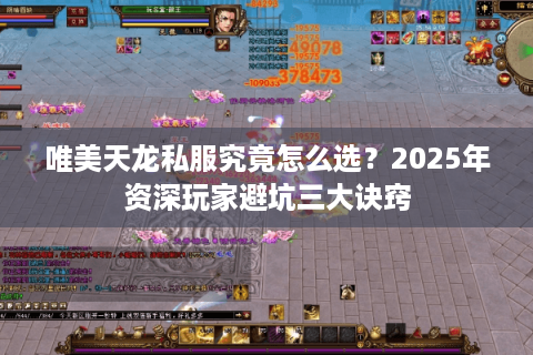 唯美天龙私服究竟怎么选？2025年资深玩家避坑三大诀窍