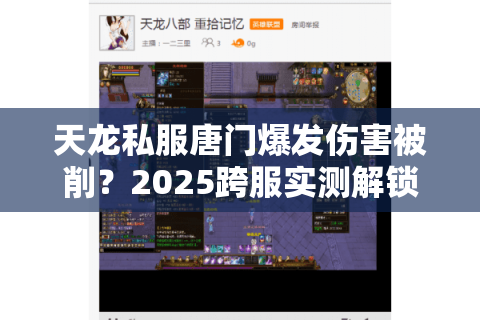 天龙私服唐门爆发伤害被削？2025跨服实测解锁破局五步法