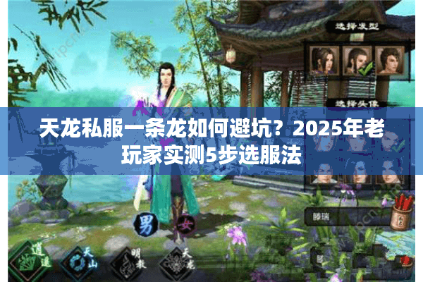天龙私服一条龙如何避坑？2025年老玩家实测5步选服法