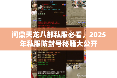 问鼎天龙八部私服必看,2025年私服防封号秘籍大公开 问鼎天龙八部私服必看,2025年私服防封号秘籍大公开
