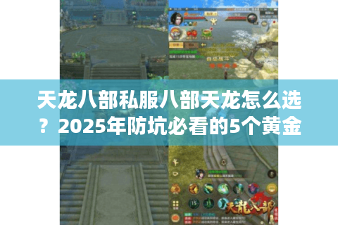 天龙八部私服八部天龙怎么选？2025年防坑必看的5个黄金法则
