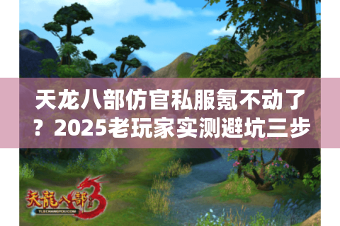 天龙八部仿官私服氪不动了？2025老玩家实测避坑三步法