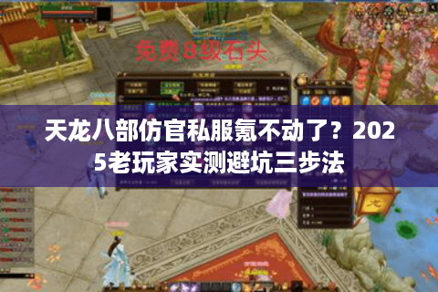 天龙八部仿官私服氪不动了？2025老玩家实测避坑三步法