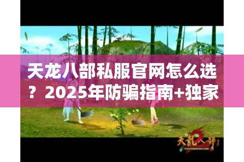 天龙八部私服官网怎么选？2025年防骗指南+独家实测推荐