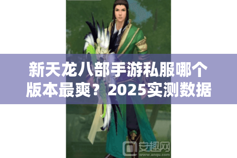 新天龙八部手游私服哪个版本最爽？2025实测数据对比