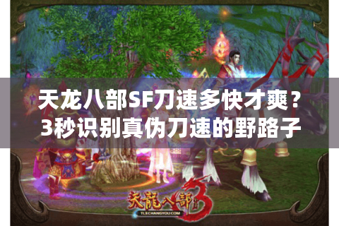 天龙八部SF刀速多快才爽？3秒识别真伪刀速的野路子