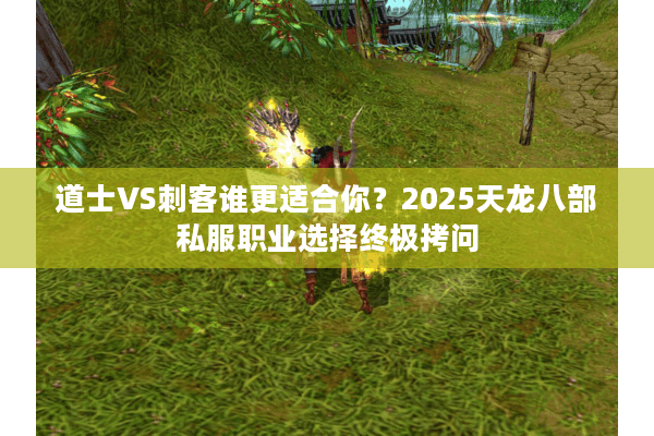 道士VS刺客谁更适合你？2025天龙八部私服职业选择终极拷问