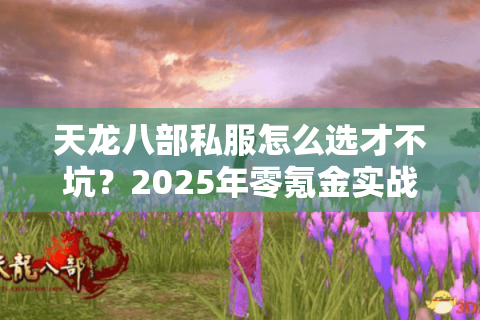 天龙八部私服怎么选才不坑？2025年零氪金实战避坑手册