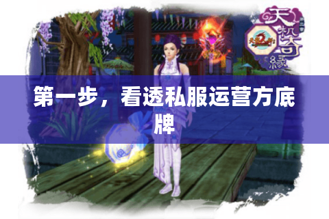 第一步,看透私服运营方底牌 第一步,看透私服运营方底牌