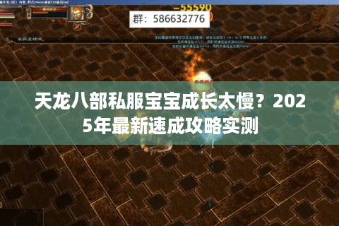 天龙八部私服宝宝成长太慢？2025年最新速成攻略实测